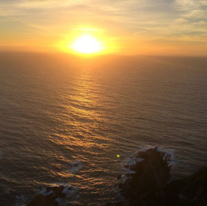 Meet your Posher, T garin